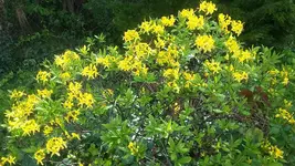 20190512_163309.webp