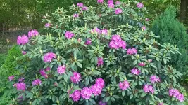 20190522_174636.webp