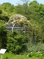 P1120812Eingang zum Duftgarten.JPG
