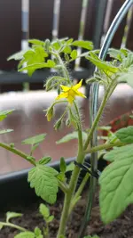 20190524_122646.webp