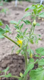 20190524_174656.webp