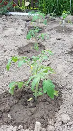 20190524_174701.webp