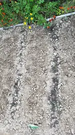 20190524_174716.webp
