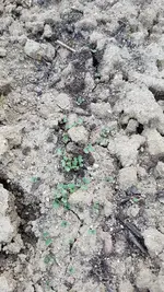 20190524_174729.webp