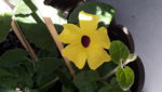 20190524_144340.jpg