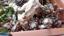 20190524_175018.webp