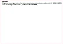 Aufzeichnen.webp