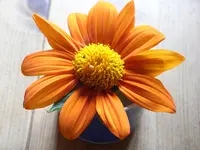 Blumen 005.webp