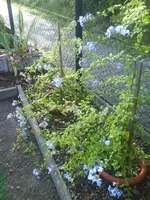 garten 5.9. 003 [640x480].webp