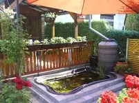 DSC00552 [320x200].webp