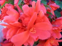 13.06.2009 020.webp
