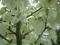 04.08.2009 003.webp