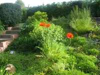 IMG_0540.webp