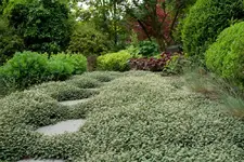 Garten-2.webp