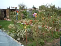 Garten 10.09 007.webp