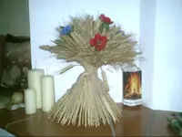 PIC00253.webp