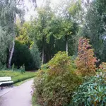 P1090115_600_600.webp