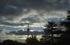 Wellington 205 v.webp