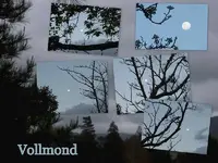 Vollmond v.webp