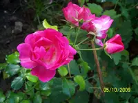 100_2157.webp