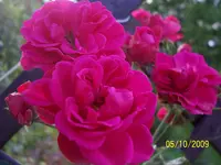 100_2170.webp