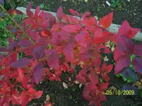 100_2156.webp