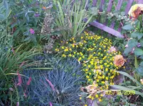 100_2159.webp