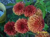 100_2164.webp