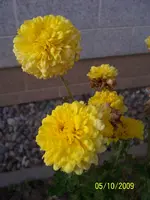 100_2166.webp