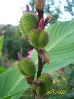 100_2169.webp