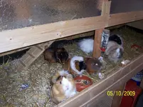 100_2171.webp
