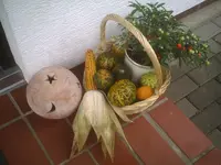 PIC00489.webp