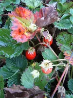 S4300011-1.webp