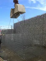 CIMG4798.webp