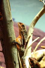 IMG_2199(1).webp