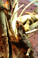 IMG_2200(1).webp
