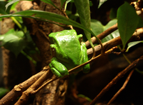 IMG_2209(1).webp