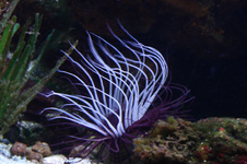 IMG_2212(1).webp