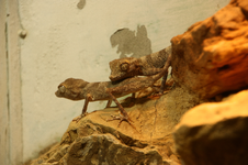 IMG_2222(1).webp