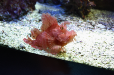 IMG_2224(1).webp