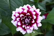 IMG_2270(1)(1).webp