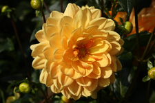 IMG_2273(1)(1).webp