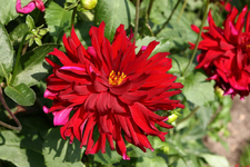 IMG_2275(1)(1).webp