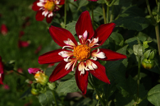 IMG_2276(1)(1).webp