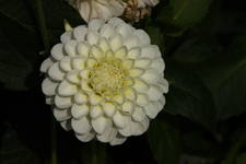 IMG_2279(1)(1).webp
