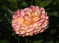 IMG_2280(1)(1).webp