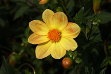 IMG_2283(1)(1).webp