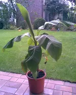 Bild009.webp