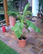 Bild013.webp