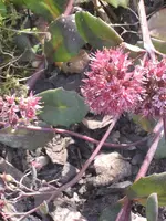 garten 09 010.webp